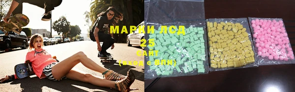 крисы Липки