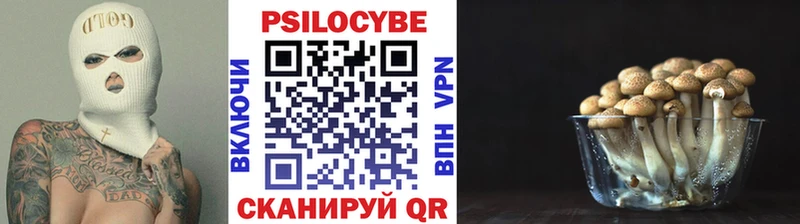 Купить где  Неман  Галлюциногенные грибы прущие грибы 