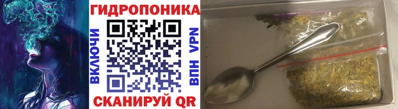 Купить  Неман  Бошки Шишки MAZAR 